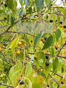 欠信用卡錢(qián)有什么影響(欠信用卡錢(qián)有什么影響沒(méi))