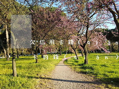 欠信用卡錢(qián)能考駕照嗎 欠信用卡的錢(qián)沒(méi)還可以學(xué)車(chē)嗎