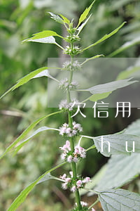 欠信用卡錢(qián)被起訴缺席庭審會(huì)怎樣-欠信用卡錢(qián)被起訴缺席庭審會(huì)怎樣處理