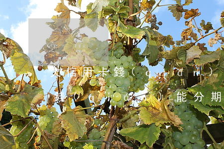 欠信用卡錢(qián)辦了分期(欠信用卡錢(qián)能分期還嗎)
