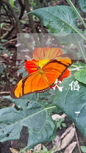 欠信用卡錢(qián)還不上每天提心吊膽-欠信用卡的錢(qián)還不起了怎么辦