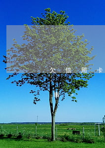 欠信用卡錢(qián)銀行查不到怎么回事-