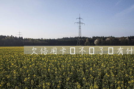 欠信用卡錢不還了會有什么后果-
