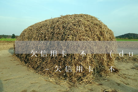 欠信用卡錢不還對(duì)孩子有哪些影響-欠信用卡錢不還對(duì)孩子有哪些影響呢