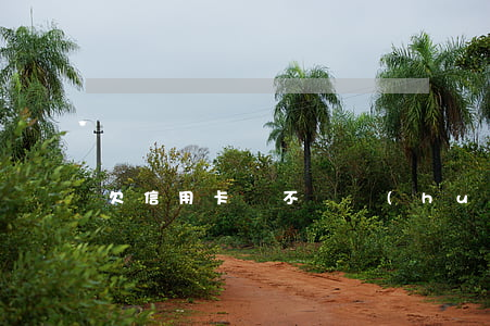 欠信用卡錢不還會(huì)判刑嗎
