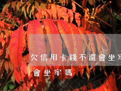 欠信用卡錢不還會坐牢嗎?(信用卡欠錢還不上會坐牢嗎)