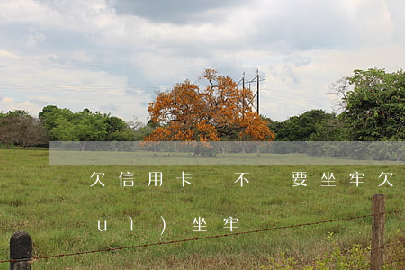 欠信用卡錢不還要坐牢(欠信用卡不還會(huì)坐牢嗎?)