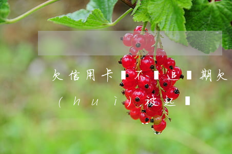 欠信用卡錢不還追訴期(欠信用卡不還多久會(huì)被起訴)