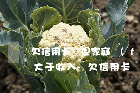 欠信用卡錢但家庭負(fù)擔(dān)大于收入-欠信用卡錢但家庭負(fù)擔(dān)大于收入怎么辦