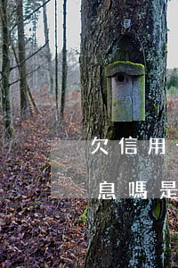 欠信用卡錢保本還息嗎-欠信用卡錢保本還息嗎是真的嗎