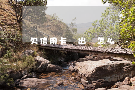 欠信用卡錢出國怎么還-欠信用卡去國外