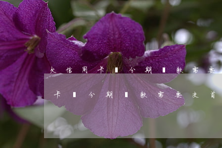 欠信用卡錢分期還款需要交首付嗎-欠信用卡錢分期還款需要交首付嗎