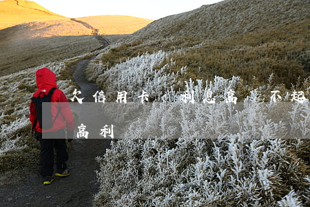 欠信用卡錢利息高還不起怎么辦（信用卡逾期 高利貸）
