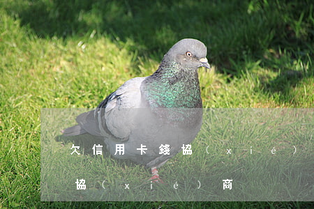 欠信用卡錢協(xié)商不成(信用卡 逾期 協(xié)商)