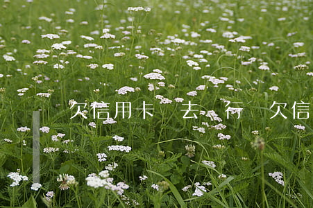 欠信用卡錢去銀行會(欠信用卡錢銀行會登門嗎)