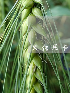 欠信用卡錢可以出國嗎-欠信用卡出國了