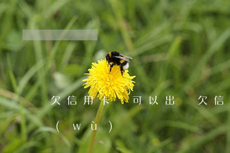 欠信用卡錢可以出國(欠信用卡可以出國勞務(wù)嗎)