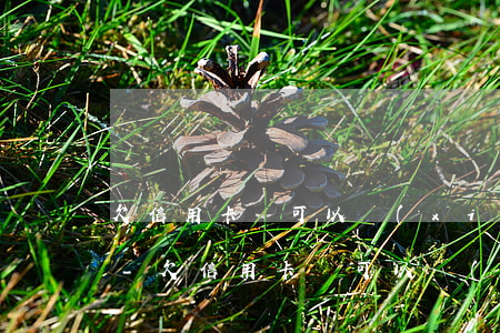 欠信用卡錢可以協(xié)商暫停還款嘛-欠信用卡錢可以協(xié)商暫停還款嘛