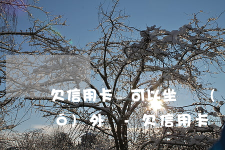 欠信用卡錢可以坐飛機(jī)飛國(guó)外嗎-欠信用卡錢可以坐飛機(jī)嗎?