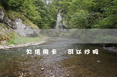 欠信用卡錢可以炒股