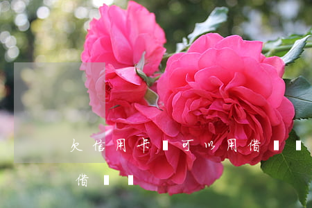 欠信用卡錢可以用借唄嗎(欠信用卡錢可以用借唄嗎)