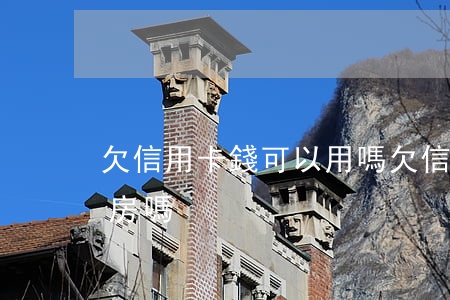 欠信用卡錢可以用嗎(欠信用卡的錢能貸款買房嗎)