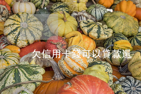 欠信用卡錢可以貸款還