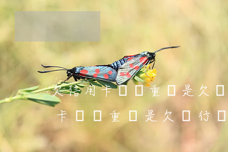 欠信用卡錢嚴重還是欠銀行錢嚴重-欠信用卡錢嚴重還是欠銀行錢嚴重呢