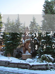 欠信用卡錢回國(guó) 欠信用卡錢出國(guó)后不還會(huì)怎樣
