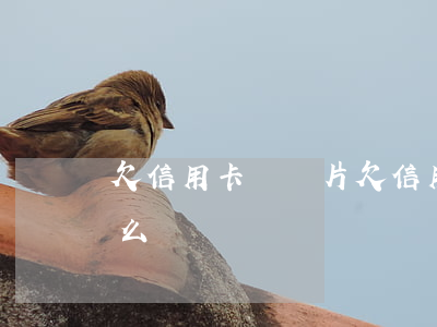 欠信用卡錢圖片(欠信用卡的錢如果不還會怎么樣)