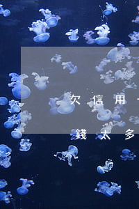 欠信用卡錢太多還不了該怎么辦-欠信用卡錢太多還不了該怎么辦呢
