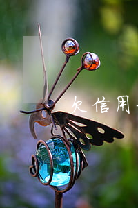 欠信用卡錢失蹤兩年(欠信用卡錢失蹤兩年)