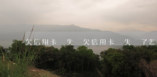 欠信用卡錢失蹤(欠信用卡錢失蹤了怎么辦)