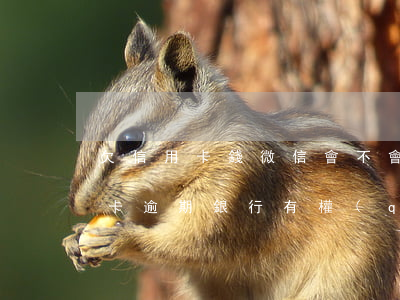 欠信用卡錢微信會不會凍結(jié)（信用卡逾期銀行有權(quán)凍結(jié)微信嗎）