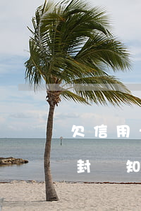 欠信用卡錢微信會封嗎-欠信用卡錢微信會封嗎知乎