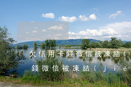欠信用卡錢微信被凍結(jié)(欠信用卡錢微信被凍結(jié)一段時(shí)間解封)