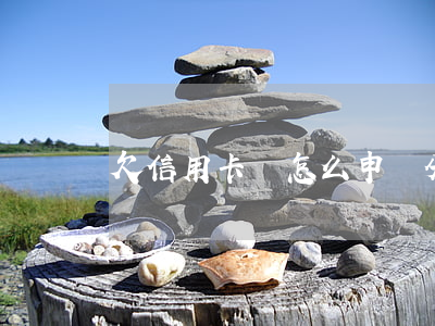 欠信用卡錢怎么申請分期(欠信用卡怎么辦)