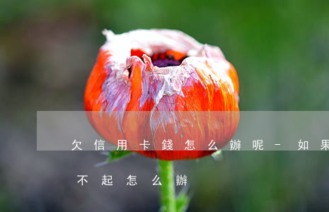 欠信用卡錢怎么辦呢-如果我欠了信用卡還不起怎么辦