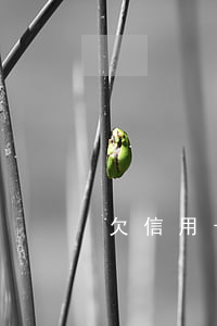 欠信用卡錢怎樣處理 欠信用卡的錢最慘的