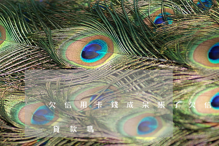 欠信用卡錢成呆賬了(欠信用卡錢成呆賬了,能貸款嗎)