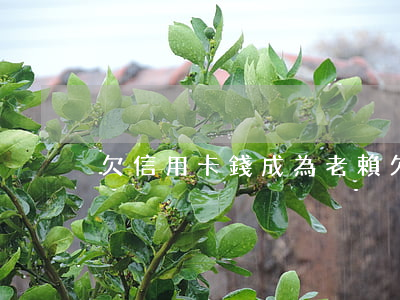 欠信用卡錢成為老賴(欠信用卡錢成為老賴)
