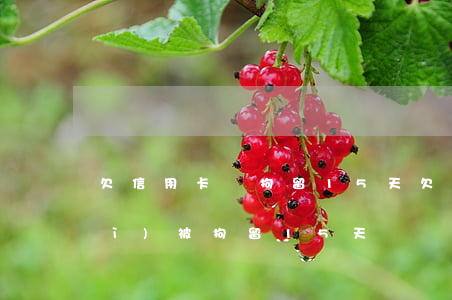 欠信用卡錢拘留15天(欠信用卡錢會(huì)被拘留15天嗎)