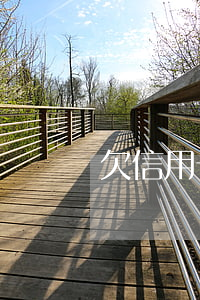 欠信用卡錢換號(hào)可以嗎