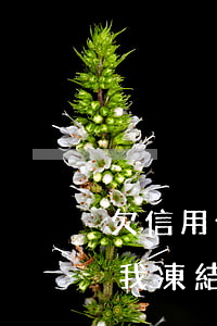 欠信用卡錢會(huì)不會(huì)給我凍結(jié)其他卡-欠信用卡錢會(huì)不會(huì)給我凍結(jié)其他卡的錢