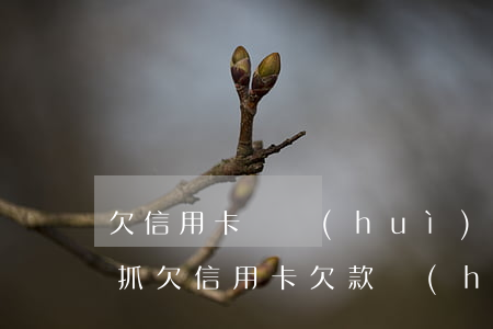 欠信用卡錢會(huì)不會(huì)被抓（欠信用卡欠款會(huì)起訴嗎）