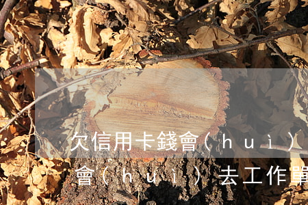 欠信用卡錢會(huì)找單位嗎(欠信用卡會(huì)去工作單位找嗎)