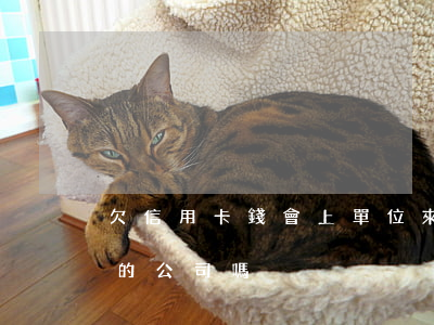 欠信用卡錢會上單位來(欠信用卡會打給所在的公司嗎)