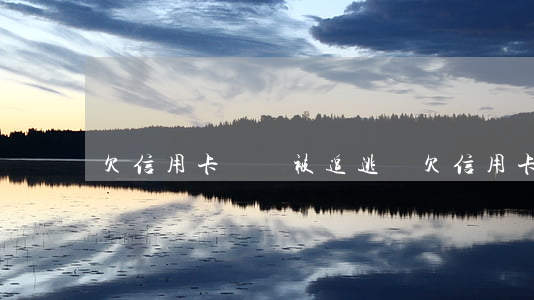 欠信用卡錢會被追逃嗎(欠信用卡的錢會拘留嗎)