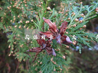 欠信用卡錢會走訪嗎(欠信用卡會上門走訪嗎)
