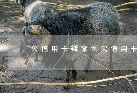 欠信用卡錢案例 欠信用卡被起訴的案例